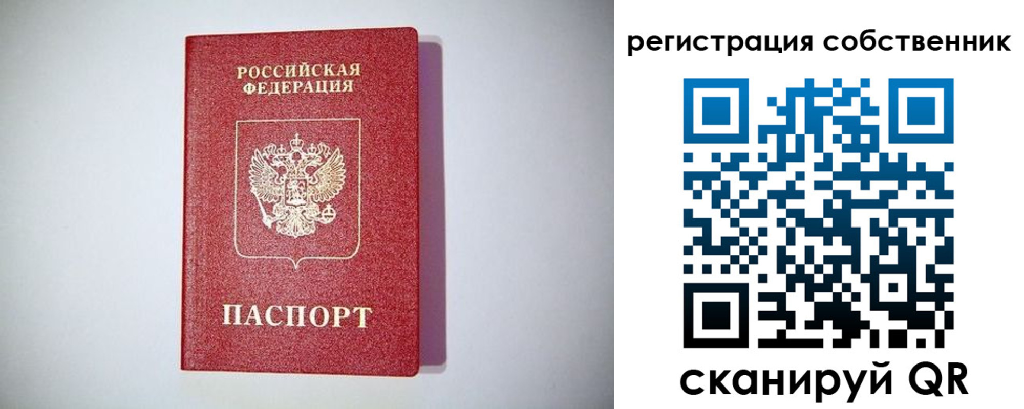 временная регистрация для школы в Мончегорске